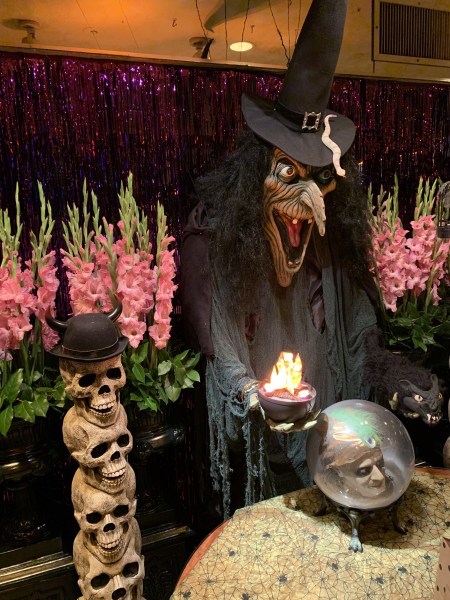 56235539856__FD9FC1EE-4CA1-41F4-8CF1-56BE386CBD1D.JPG 56235539856 FD9FC1EE 4CA1 41F4 8CF1 56BE386CBD1D